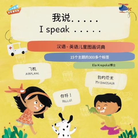 Front cover of the Chinese (simplified) visual dictionary